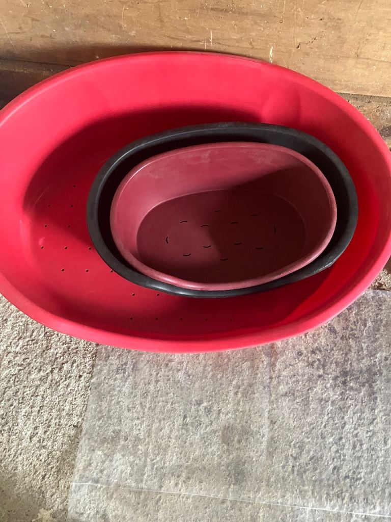 Assorted dog beds