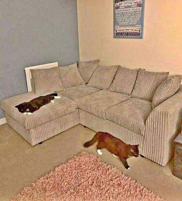 🎀Gorgeous Dylan sofa Corner Unit & 3+2 Set|| Cash on delivery🎀