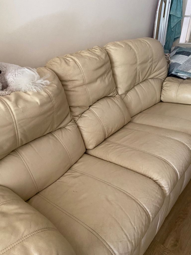 Free 3 seater sofa and armchair leather 