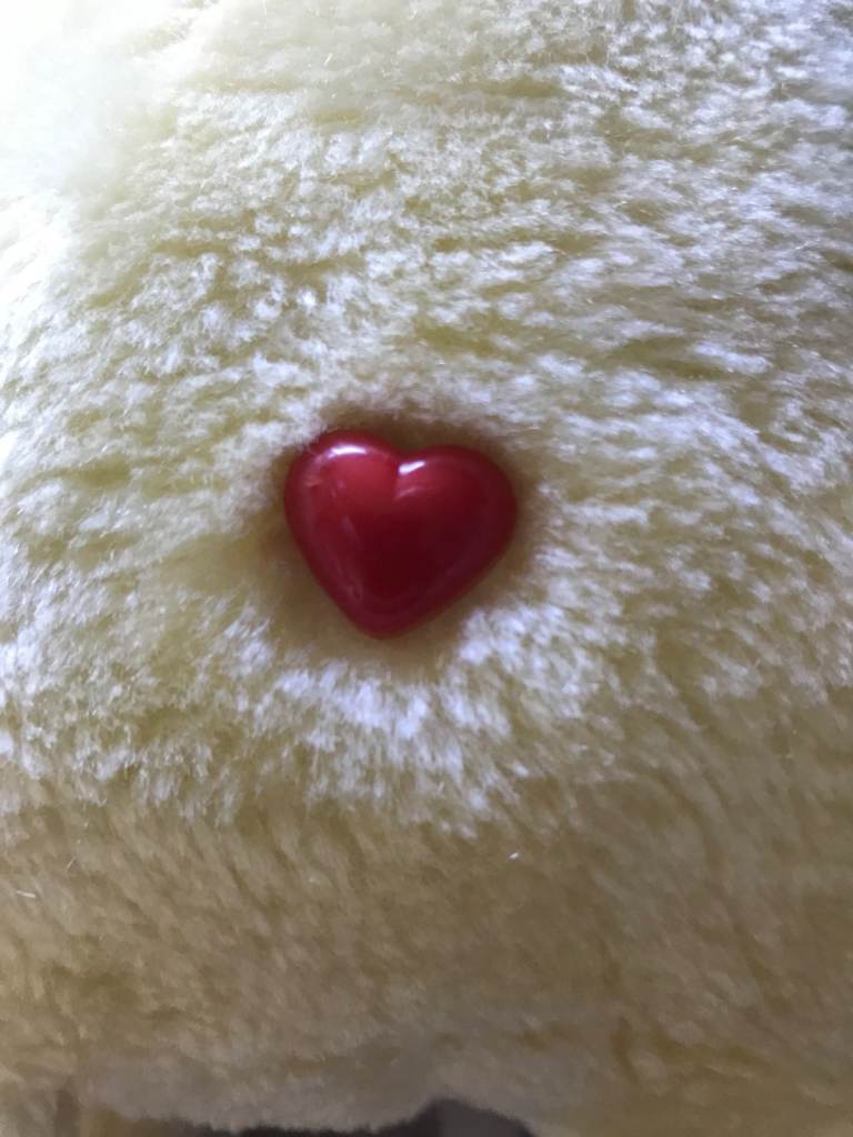 Funshine Care Bear 1980s