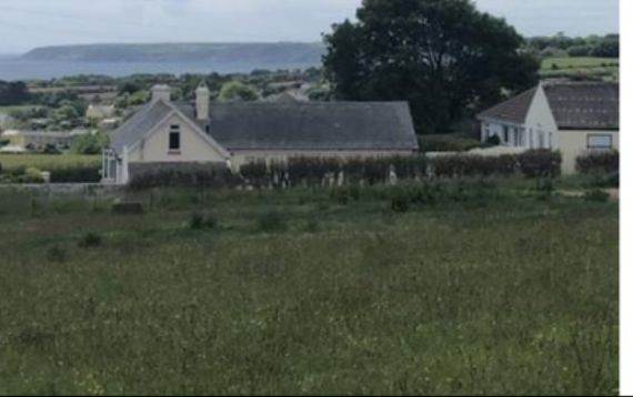 2 Acre Field For Rent, Near Penzance, 75 per month  