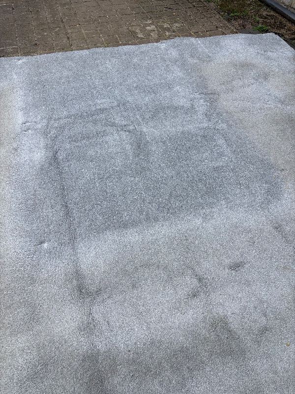 FREE CARPET 10 FT x 10 FT 6 IN