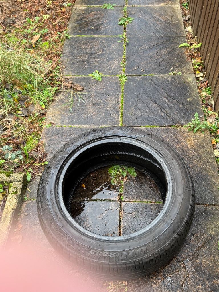 Audi, A3, Hatchback, 2008, Manual, 1595 (cc), 3 doors