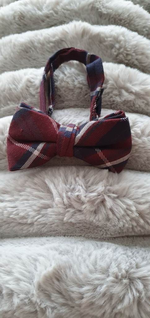 Men bow tie 