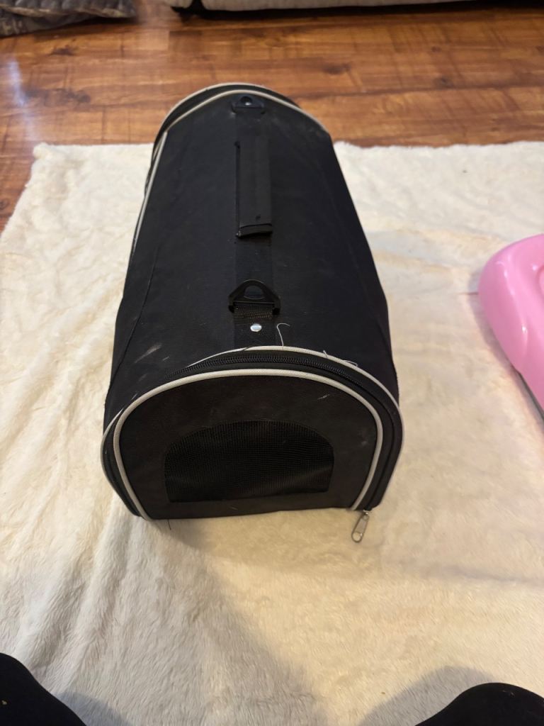 Pet carrier 