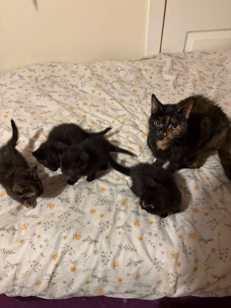 One boy one girl 😻