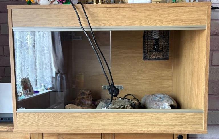 Starter Vivarium For Sale *MUST GO*