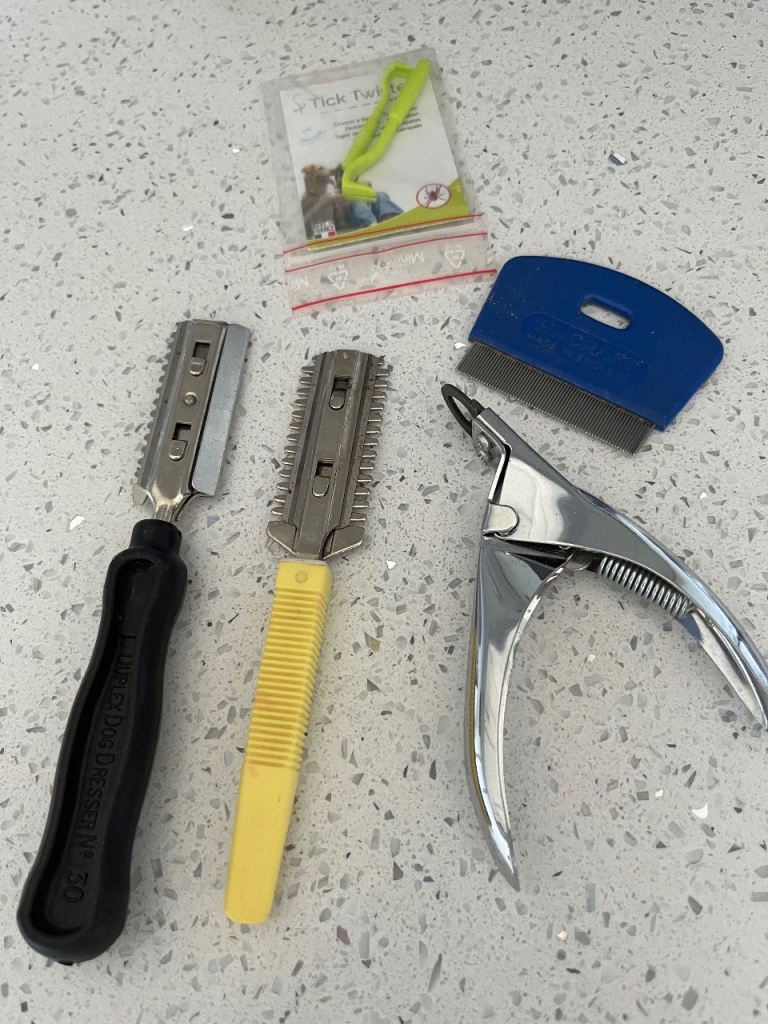Various pet grooming tools 