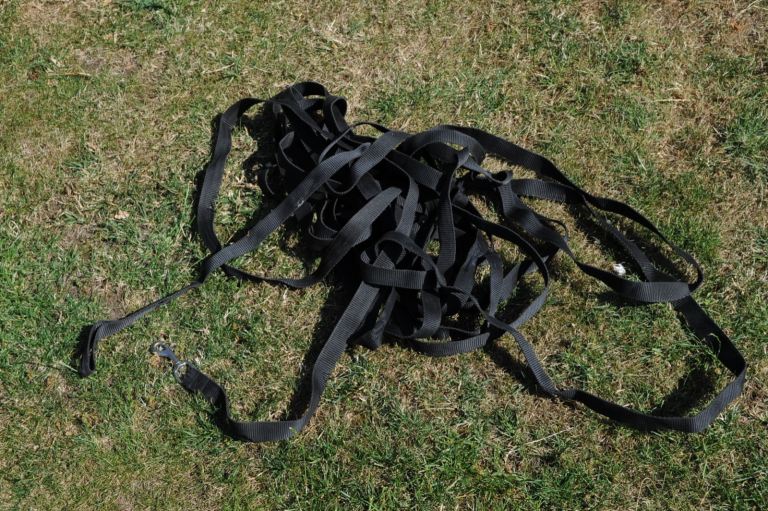 Dog Trainer lead