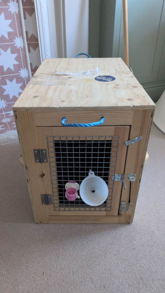 Pet Shipping/Flight Container 