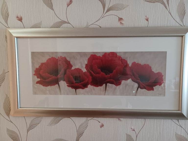 Blazing Poppies Quartet Framed Print by ARTKO