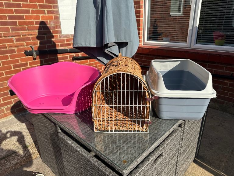 Set of cat equipment 