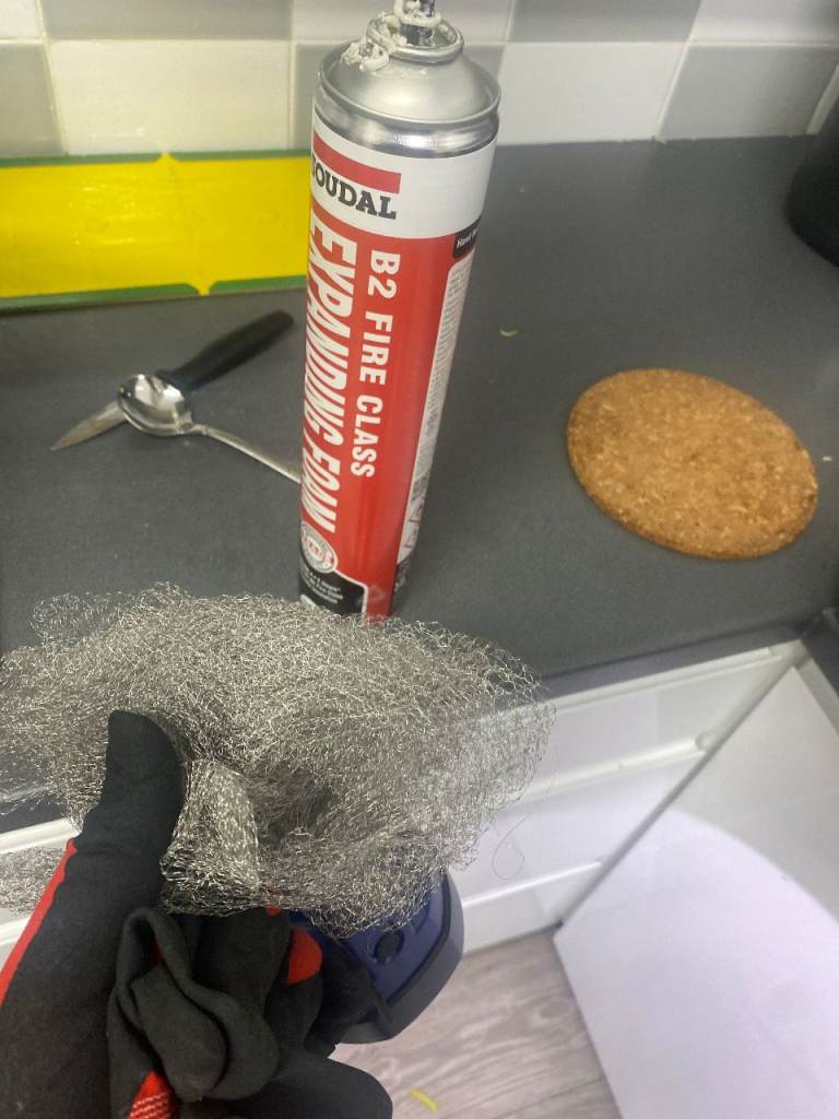 Pest Control in Sutton – Certified Rat & Mouse Control