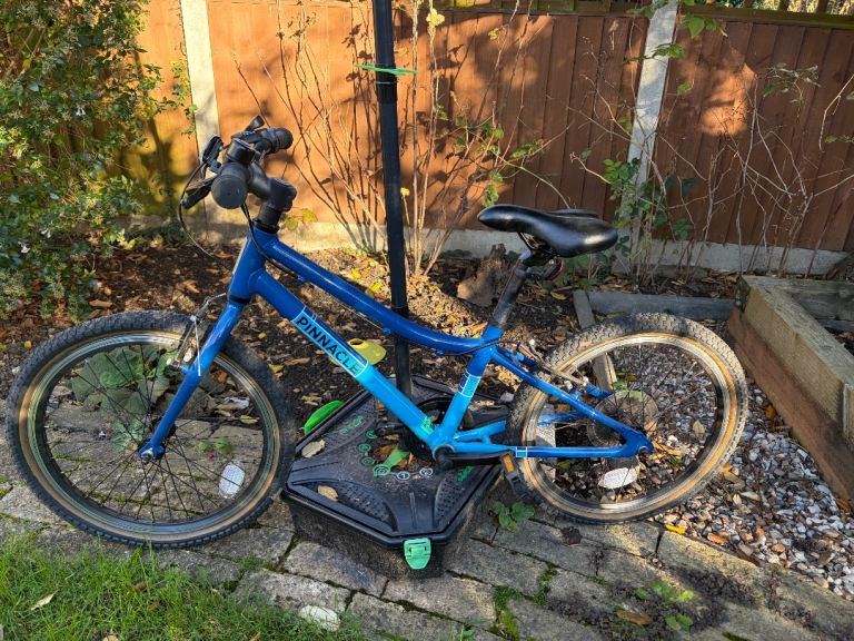 Pinnacle Ash 20 inch bike