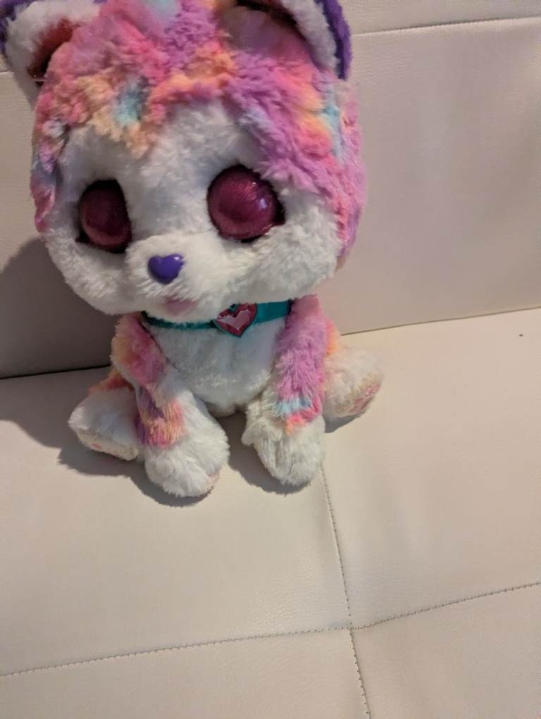 Playful rainbow husky talking dog 