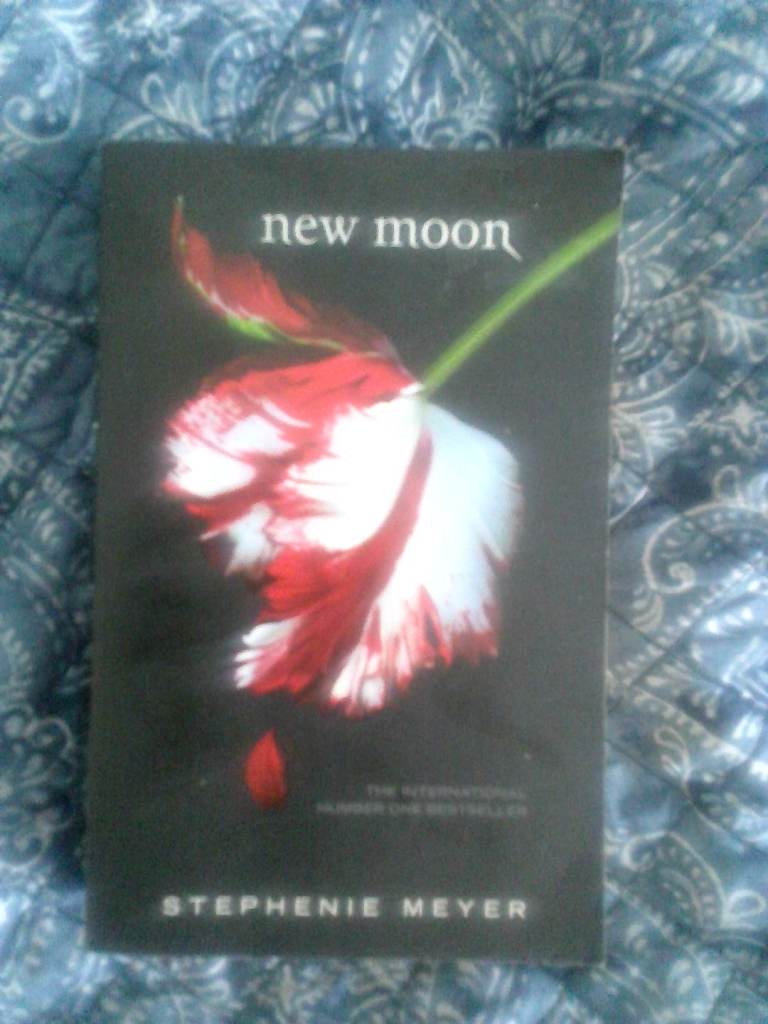 new moon story book