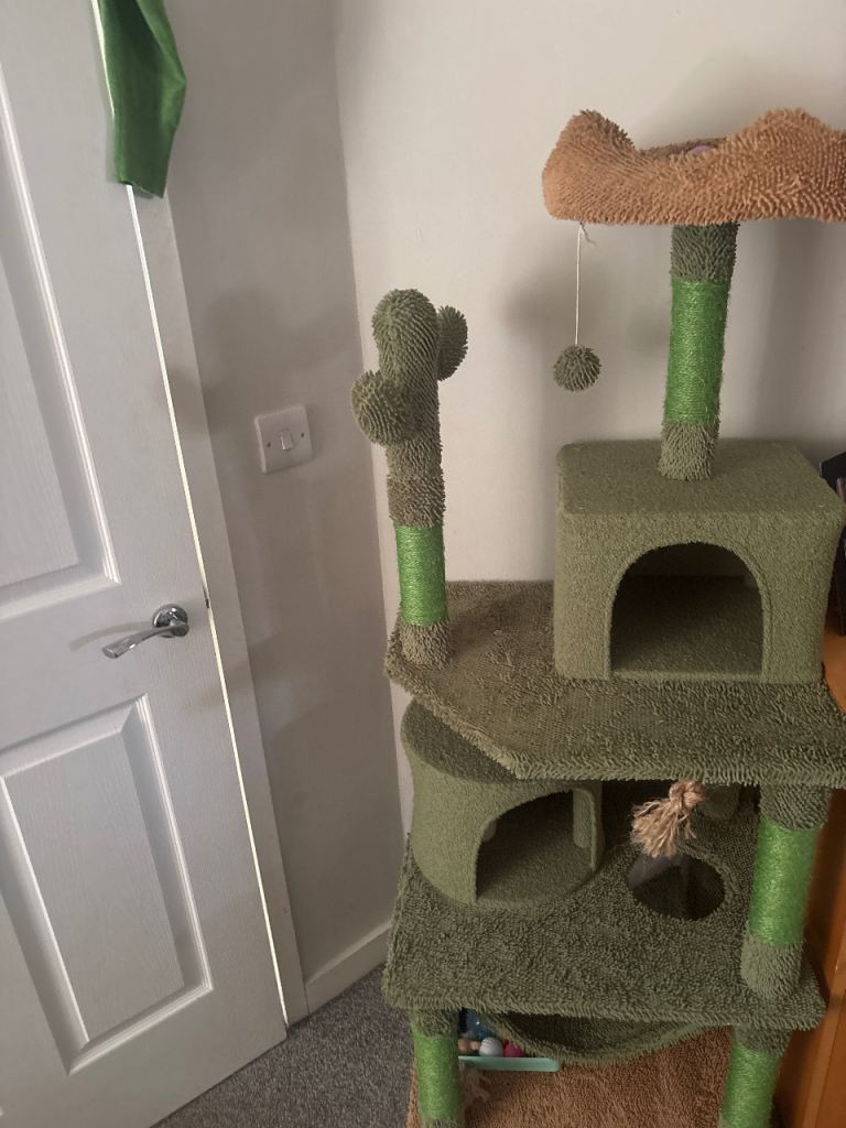 Cat scratch hide out 