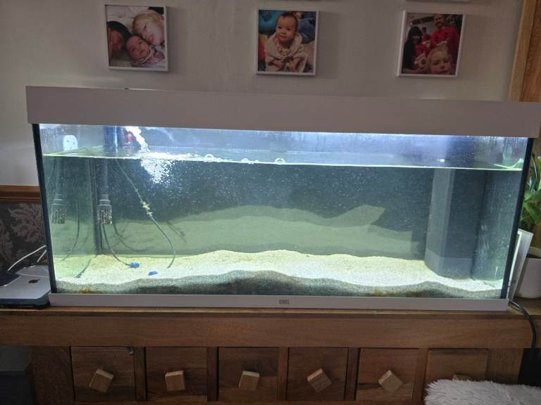 For Sale: 240-Litre Juwel Fish Tank Setup - £600