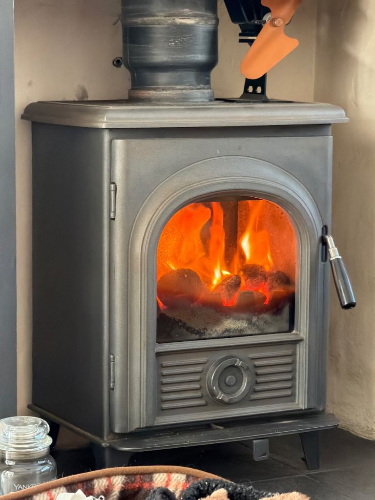 Alpha 1 multi fuel stove 