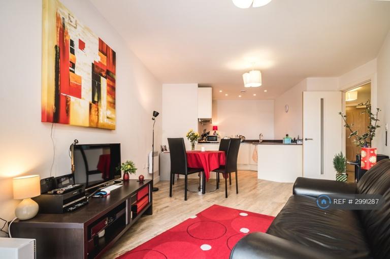 1 bedroom flat in Essex Street, Birmingham, B5 (1 bed) (#2991287)