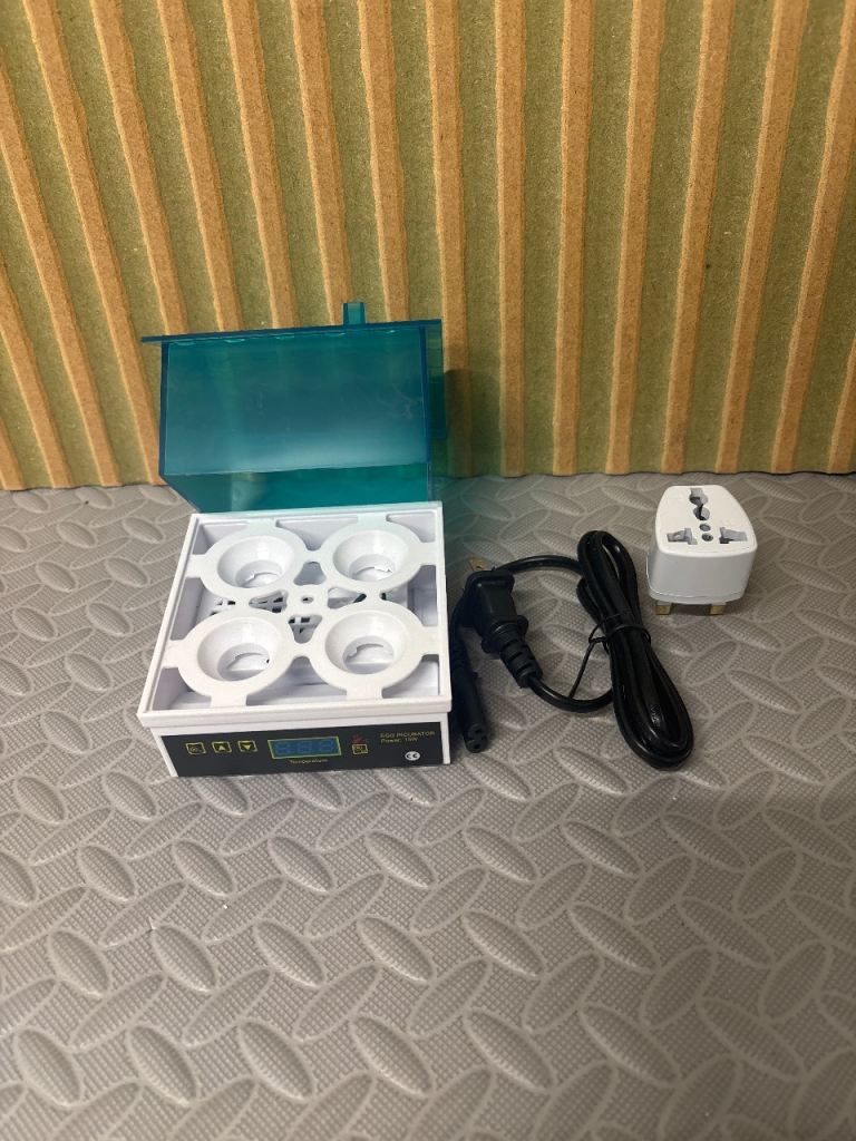 Egg incubator 