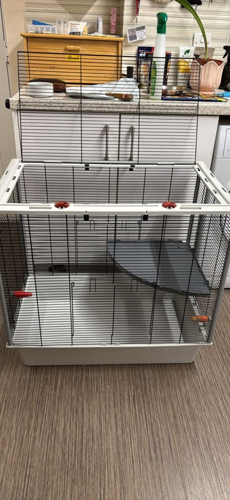 Rat cage 