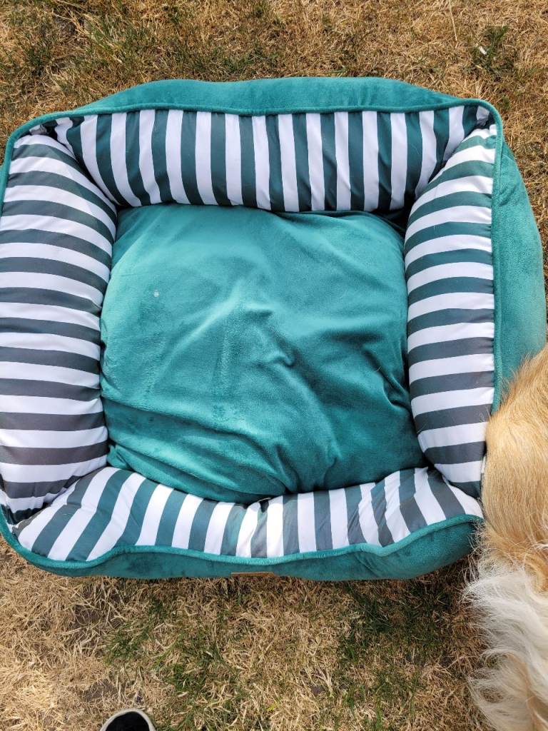 Dog bed