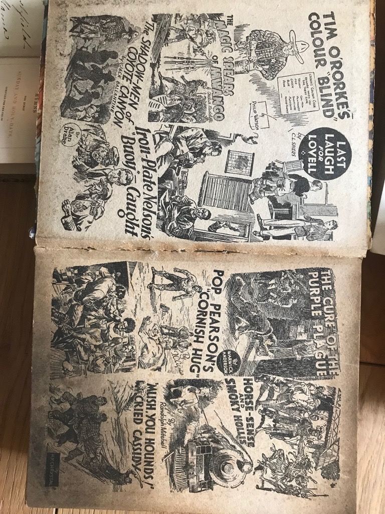 Three Antique Books- The Rover Book for Boys- Robinson Crusoe -Fountain of Youth