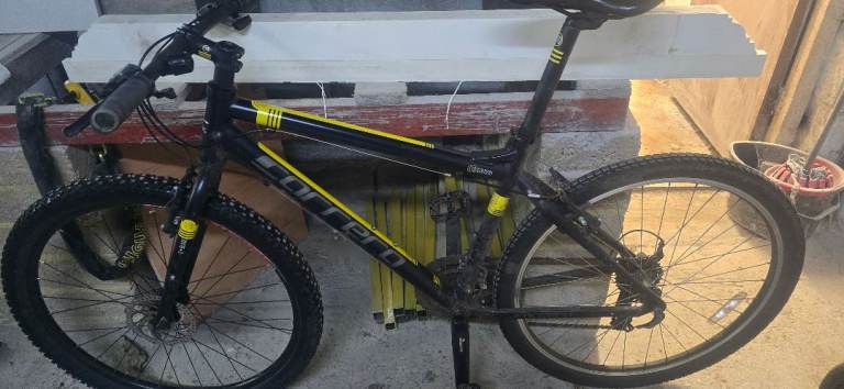 Carrera subway limited edition 7005