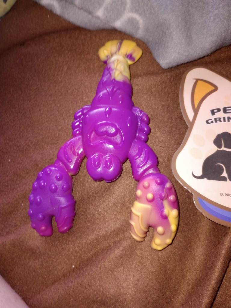 Grinding dog toy: beef smell.