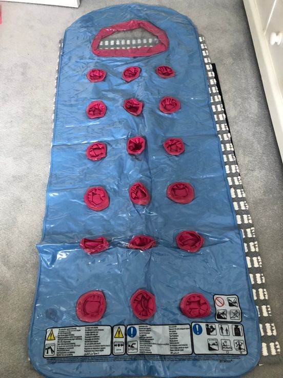 1 x Inflatable Airbed & 3 x Swim Rings