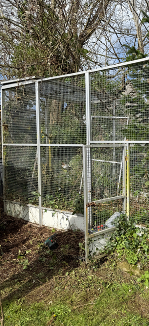 Parrot aviary for sale