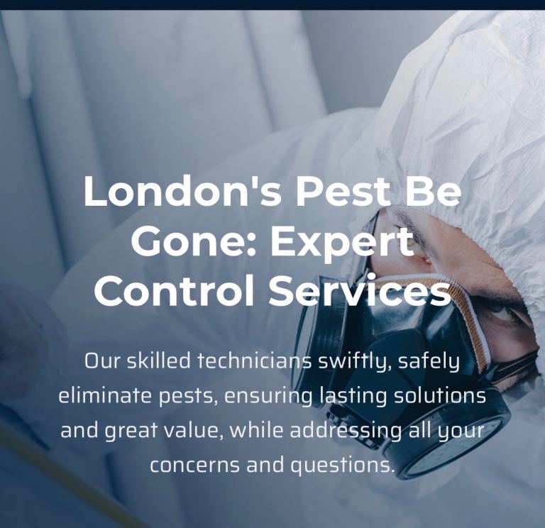 Rat mice bed bugs cockroaches ants problem call now for all your pest 