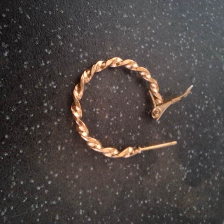 Earring found