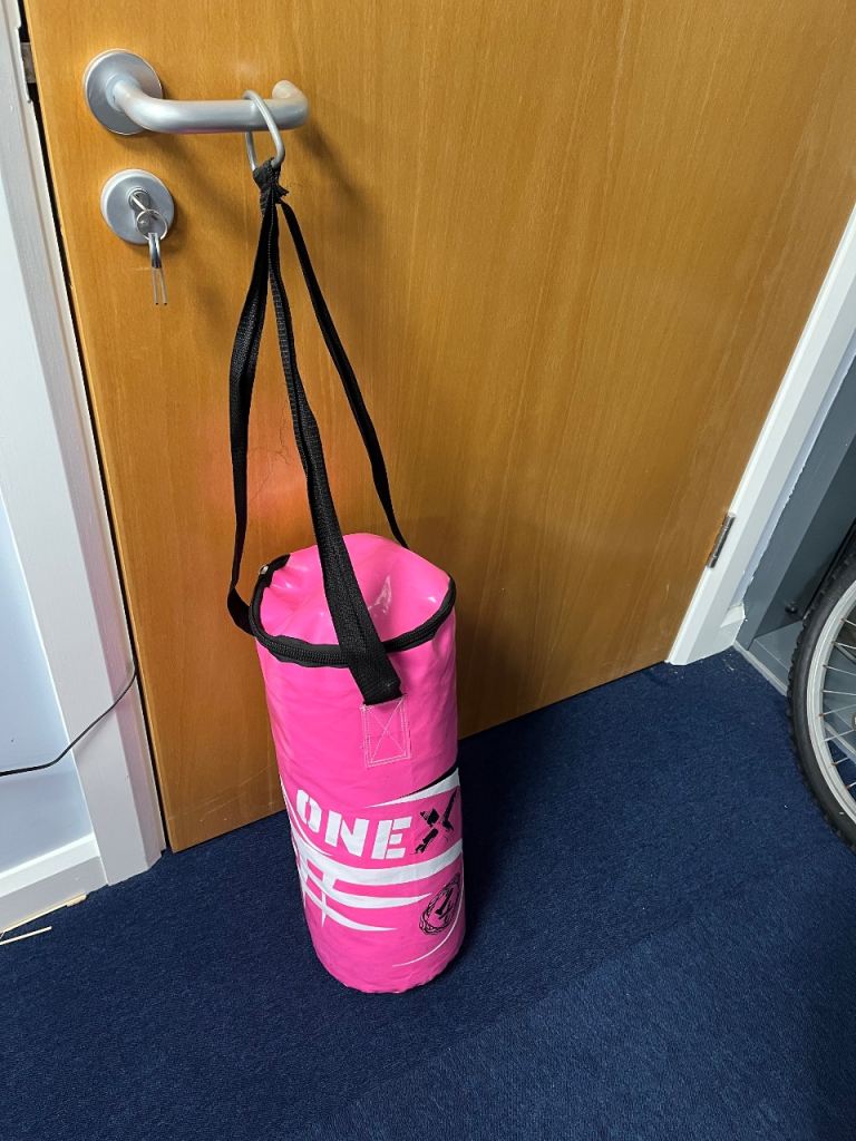 ONE X Punch Bag – Pink – Excellent Condition