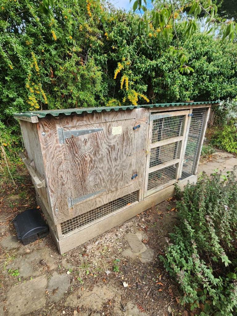 Chicken Run
