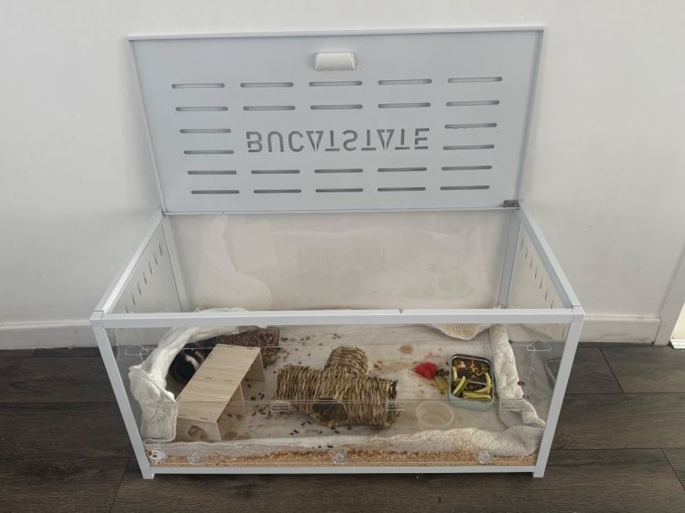 Cages for sale