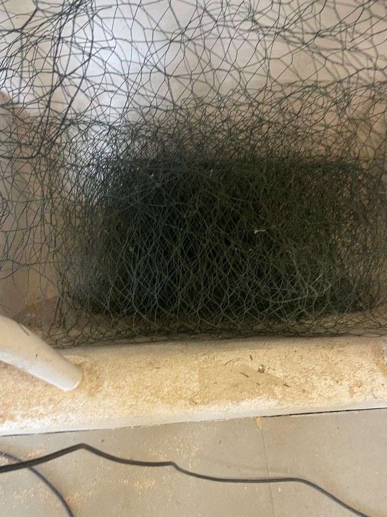 Chicken Wire - Free! 