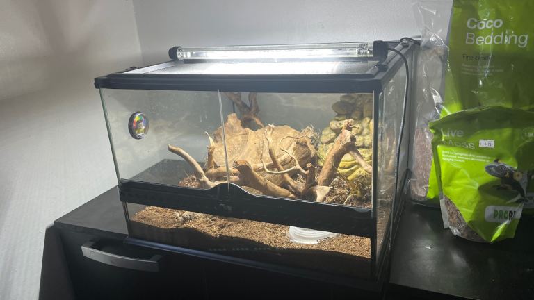 terrarium