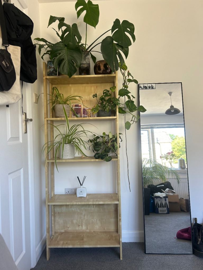 Title: Tall 5-Tier Natural Timber Shelving Unit / Bookcase / Plant Stand
