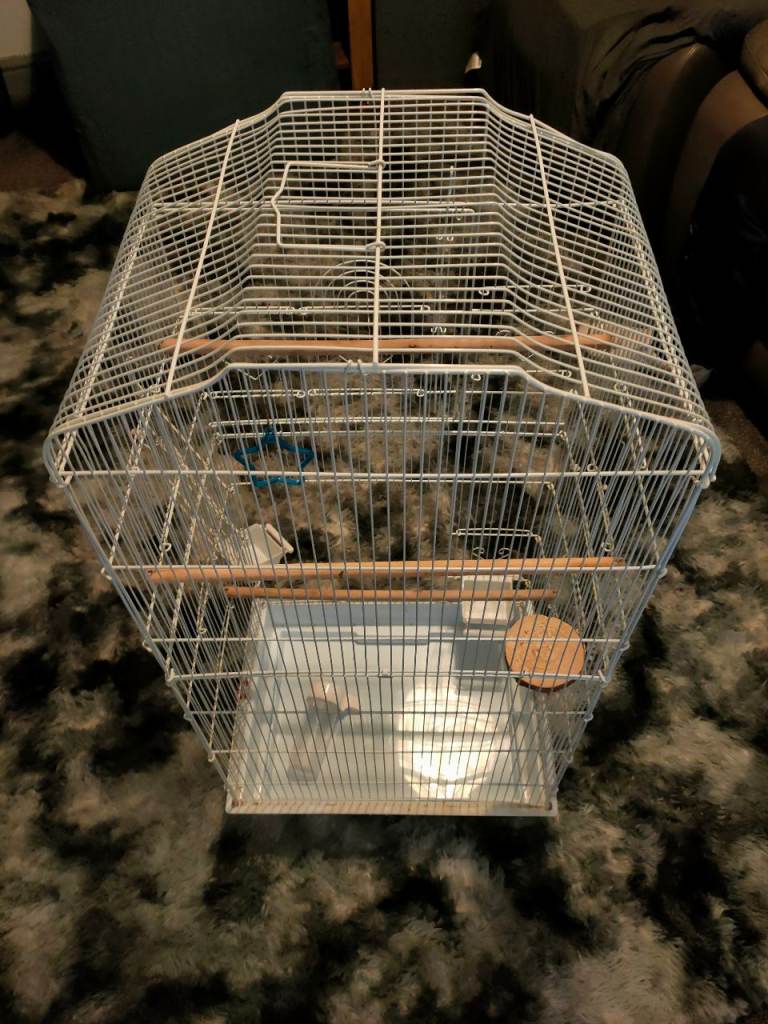 Bird Cage 