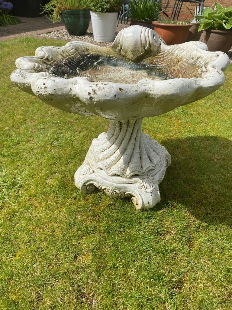 Bird bath 