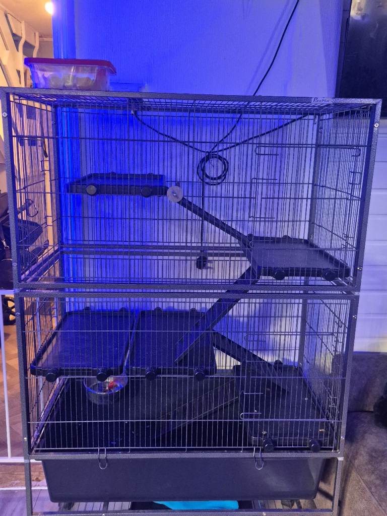 Good clean condition 