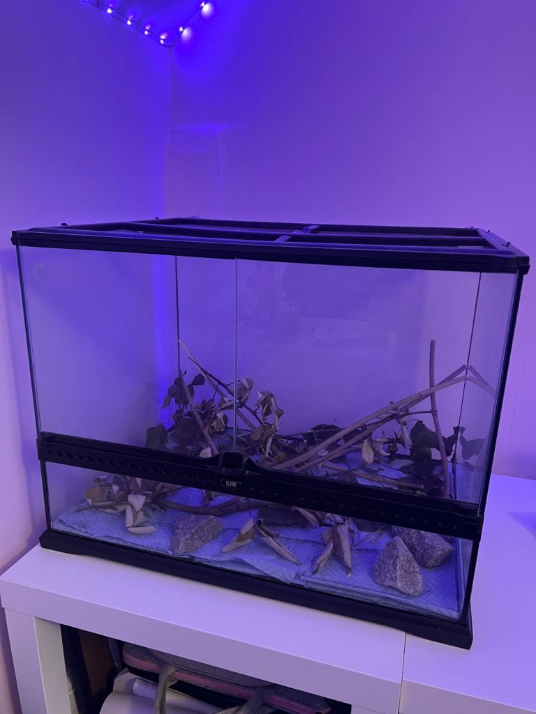 Terrarium/Vivarium Used for stick insects, not required anymore.