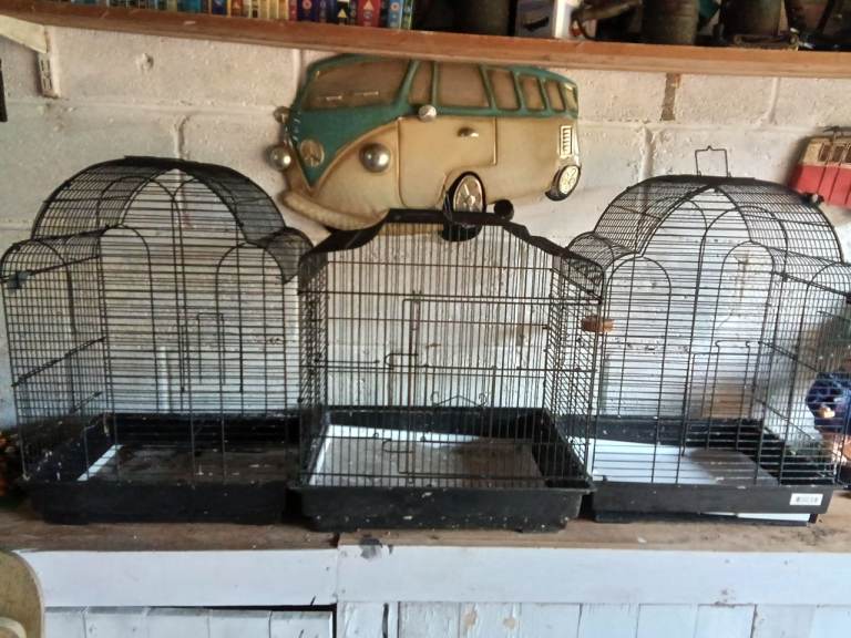 Bird cages 