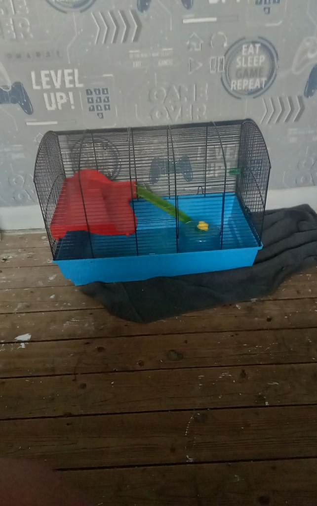 Hamster cage 