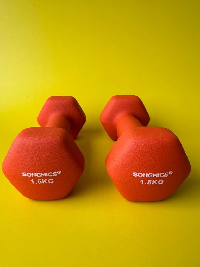 SONGMICS 1.5KG Red Dumbbells (Pair) – New