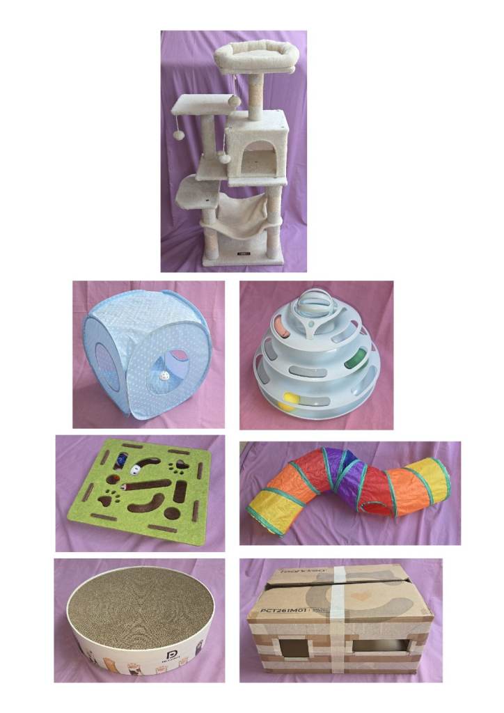 Cat tree and toy selection