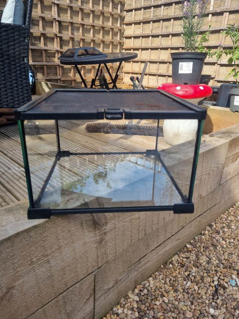 Komodo terrarium 
