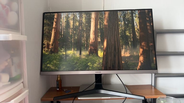 Samsung U28R550UQR - UR55 Series - LED monitor - 4K - 28" - HDR